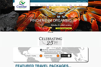 Website and Content Management System for Travel Agency in Lawrenceville, GA